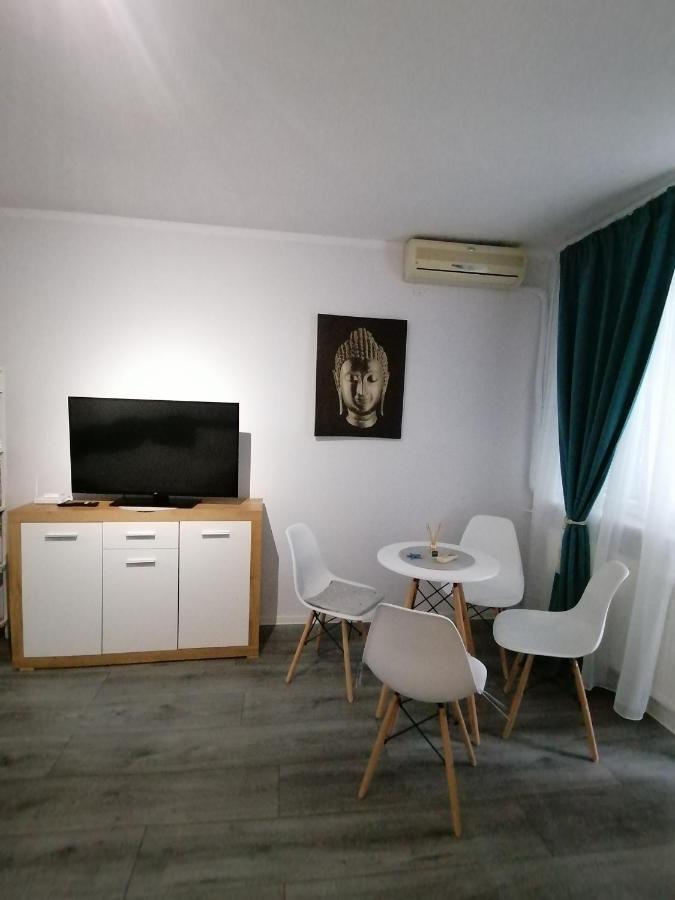 Bega Circumvalatiunii 1 Room Apartment 티미쇼아라 외부 사진