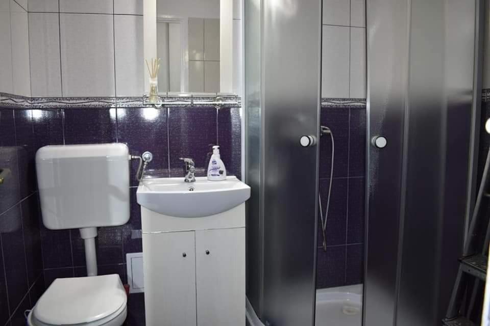 Bega Circumvalatiunii 1 Room Apartment 티미쇼아라 외부 사진
