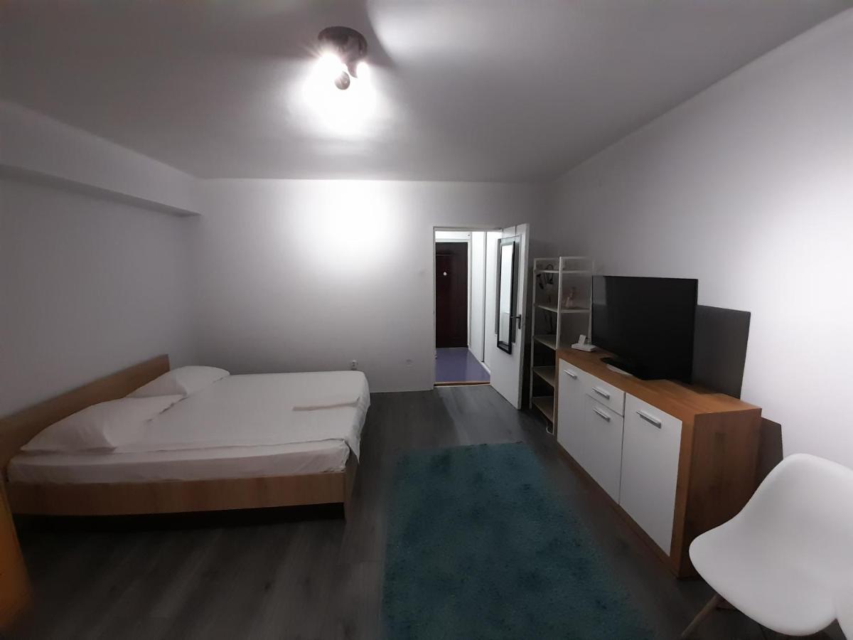 Bega Circumvalatiunii 1 Room Apartment 티미쇼아라 외부 사진